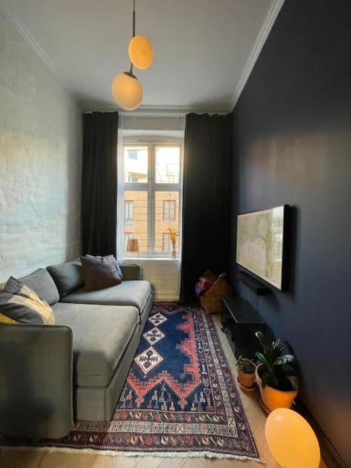 Attraktiv Og Klassisk Leilighet Midt I Oslo, 80M2 Apartment Екстериор снимка