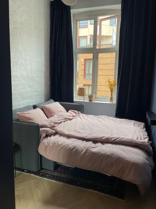 Attraktiv Og Klassisk Leilighet Midt I Oslo, 80M2 Apartment Екстериор снимка